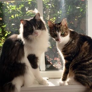 Meet your Posher, Jamie